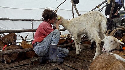 Dans une bergerie de fortune en estive, une bergère tient la tête d'une chèvre blanche et lui fait un bisou